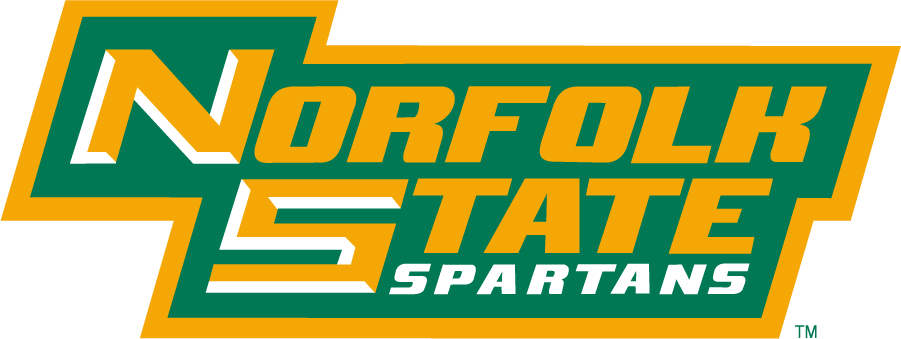 Norfolk State Spartans 1999-Pres Wordmark Logo v2 diy DTF decal sticker